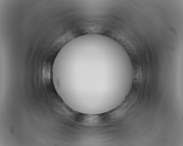 X0000111850334200908061319