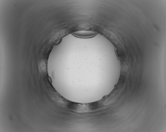 X0000111850335200908061319