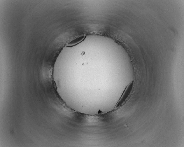 X0000111850336200908061319