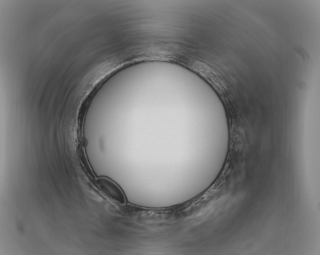 X0000111850338200908061319