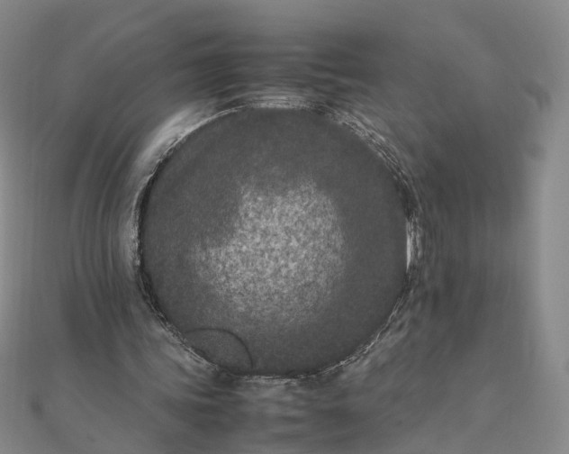 X0000111850339200908061319