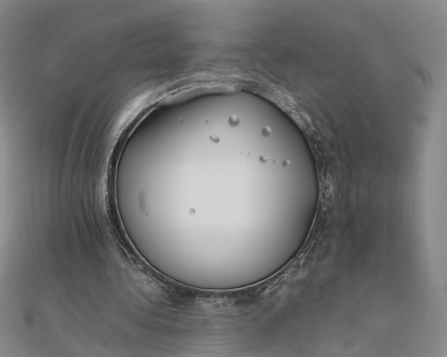 X0000111850340200908061319