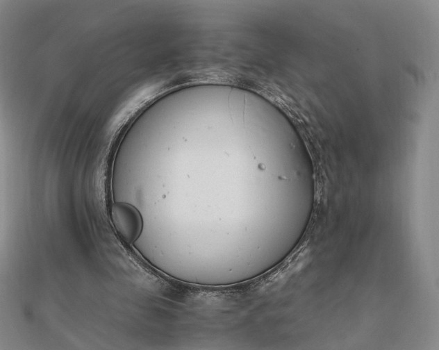 X0000111850341200908061319