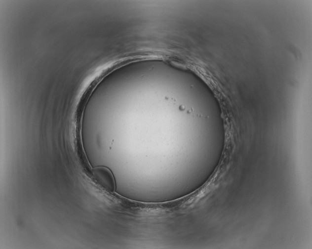 X0000111850342200908061319