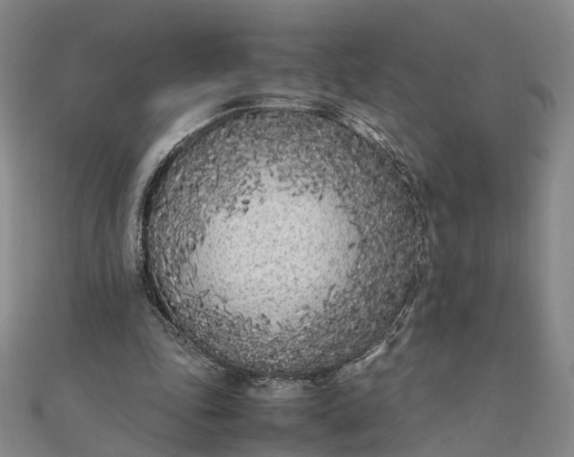 X0000111850343200908061319