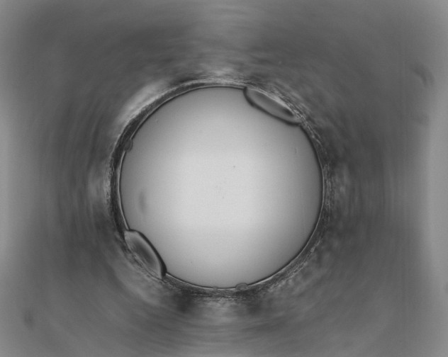 X0000111850344200908061319