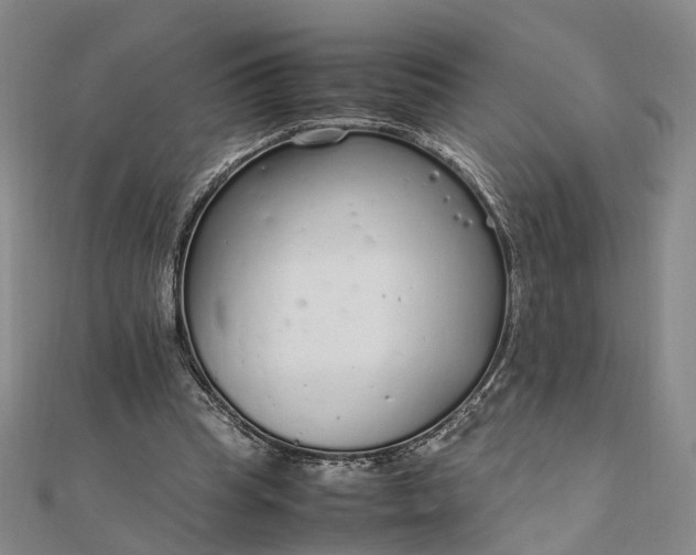 X0000111850345200908061319