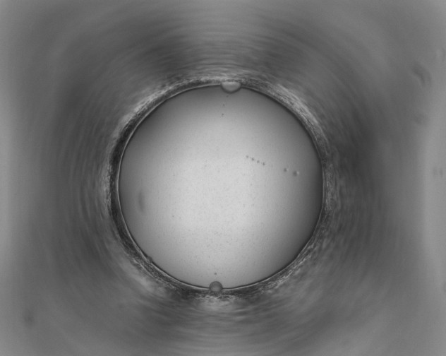 X0000111850346200908061319