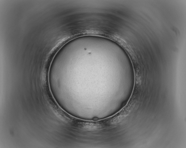 X0000111850347200908061319