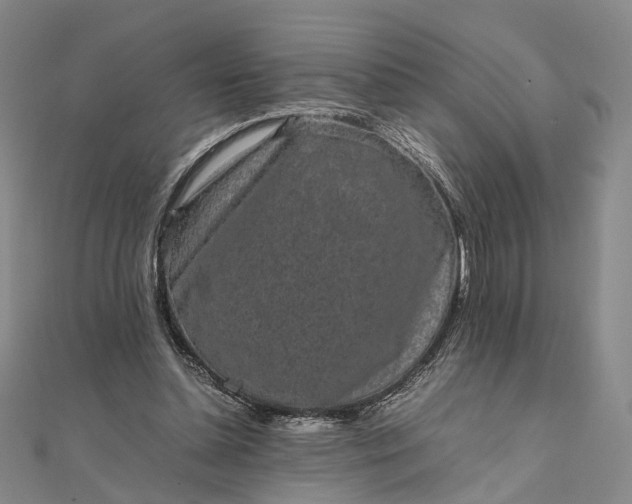 X0000111850348200908061319