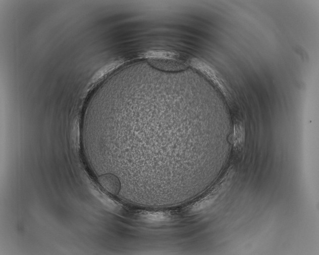 X0000111850349200908061319