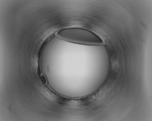 X0000111850350200908061319