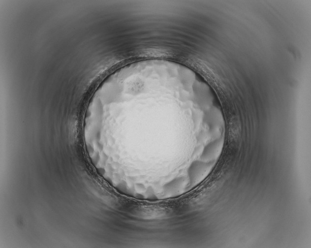 X0000111850351200908061319