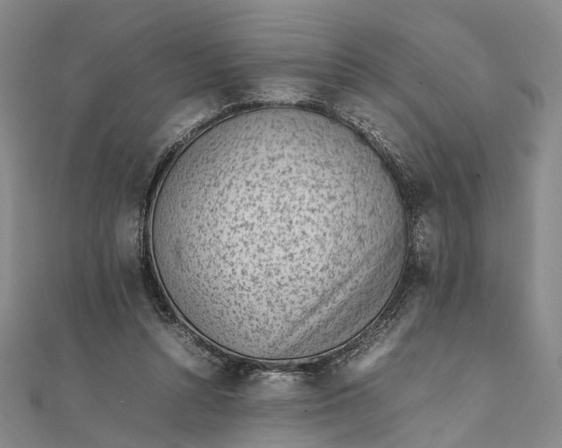 X0000111850352200908061319