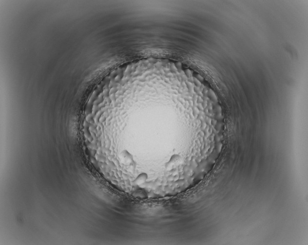 X0000111850353200908061319