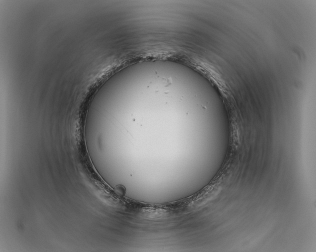 X0000111850354200908061319