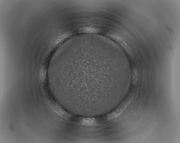 X0000111850355200908061319