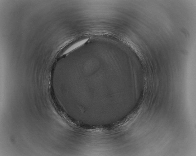 X0000111850356200908061319