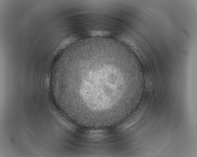 X0000111850357200908061319