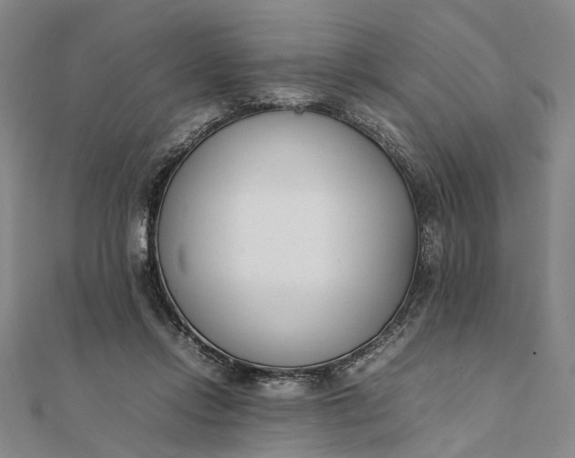 X0000111850358200908061319