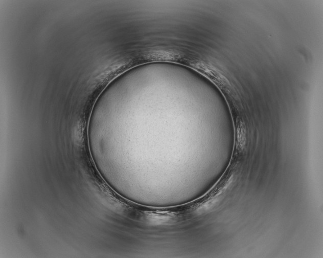 X0000111850359200908061319