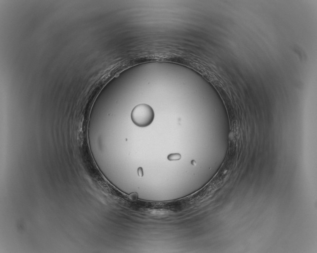 X0000111850360200908061319