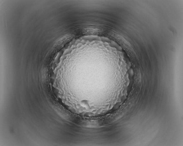 X0000111850361200908061319