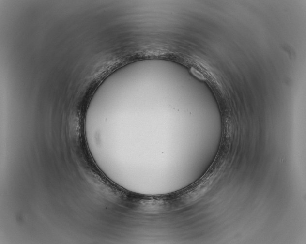 X0000111850362200908061319