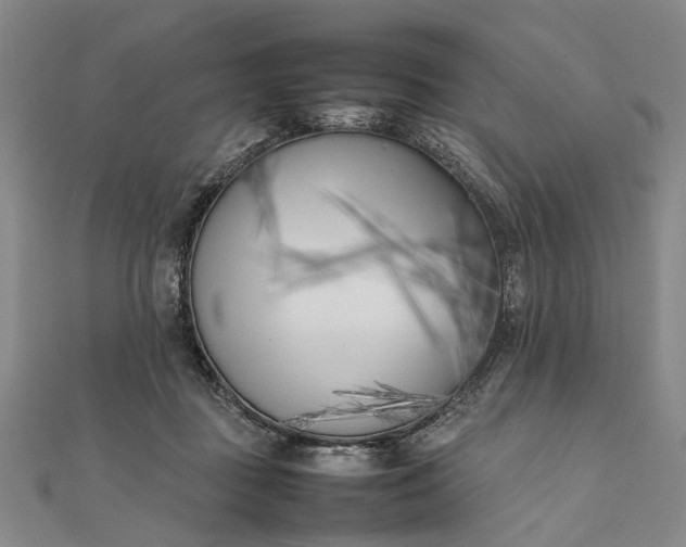 X0000111850363200908061319