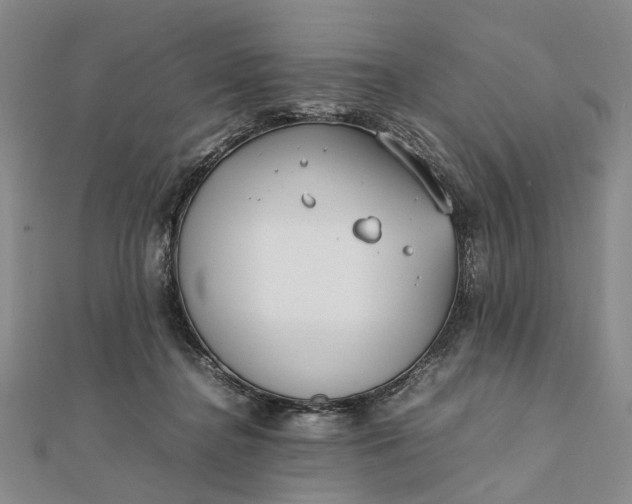 X0000111850364200908061319