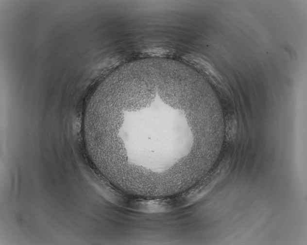 X0000111850365200908061319