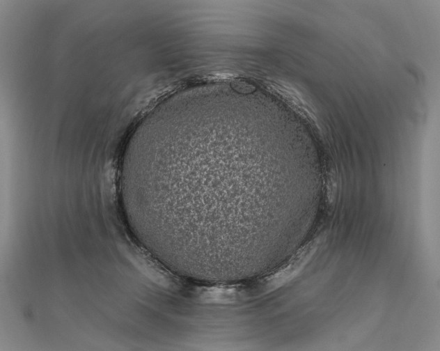 X0000111850366200908061319