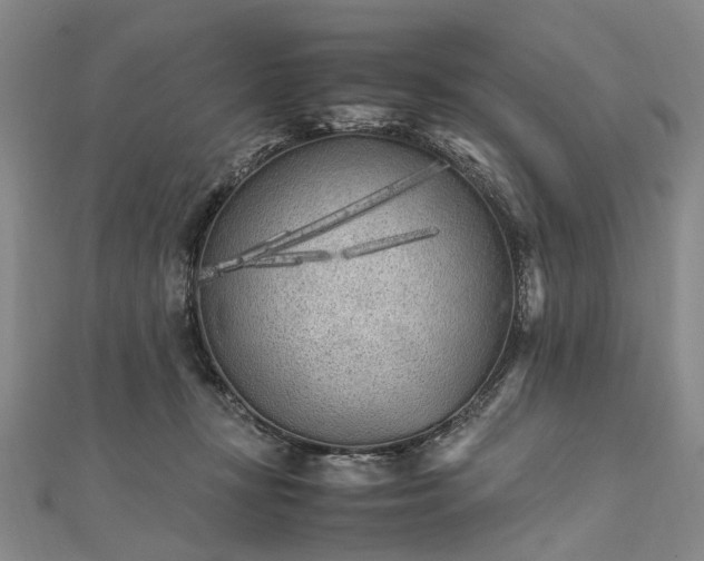 X0000111850367200908061319