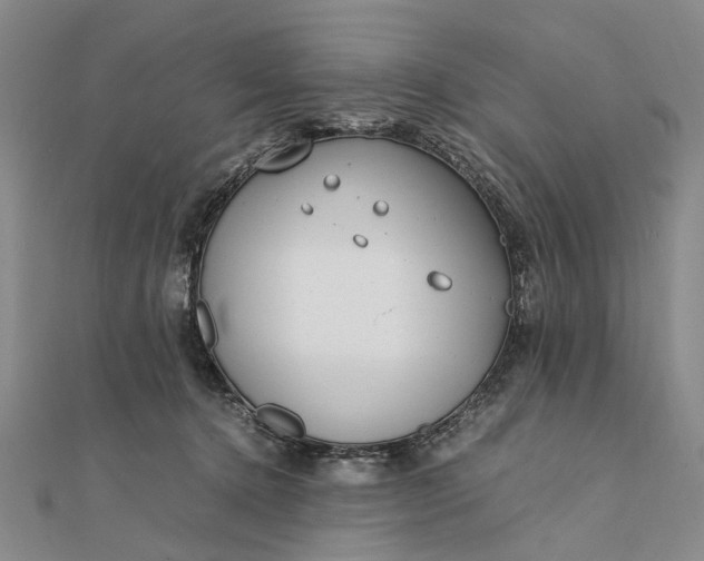 X0000111850368200908061319