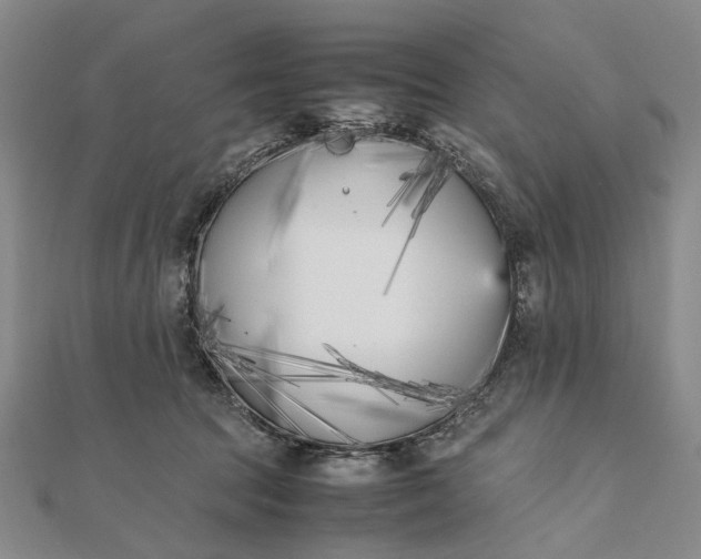 X0000111850369200908061319