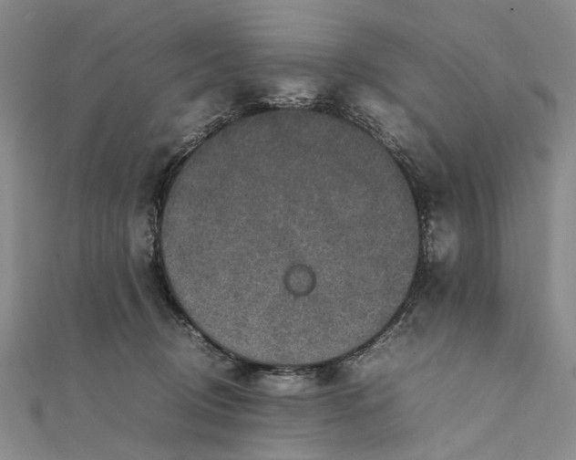 X0000111850370200908061319