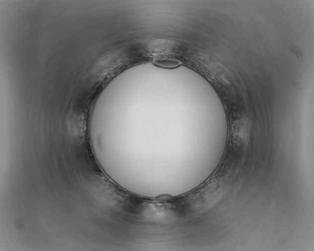 X0000111850372200908061319