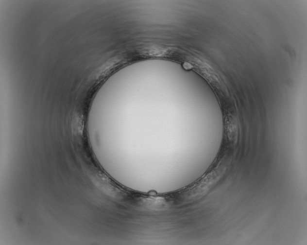 X0000111850374200908061319