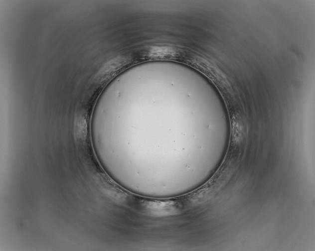 X0000111850375200908061319