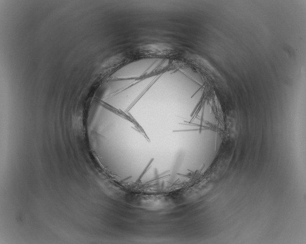 X0000111850377200908061319