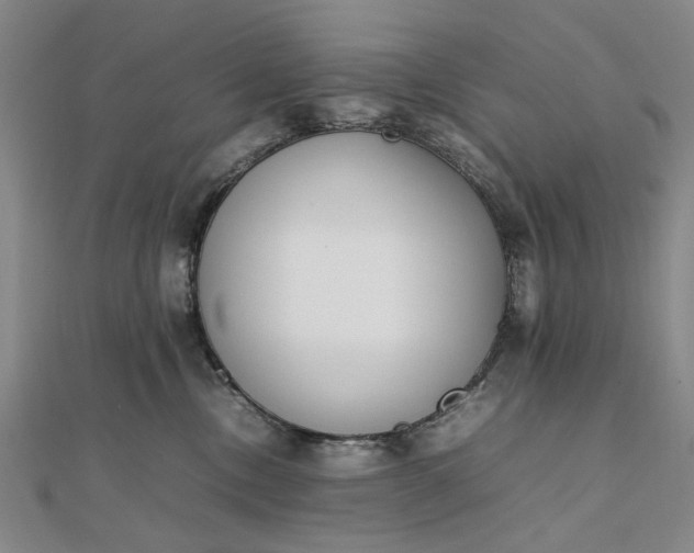 X0000111850378200908061319