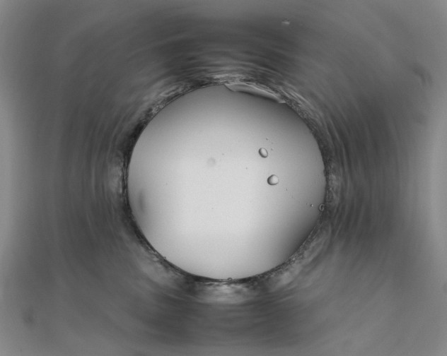 X0000111850379200908061319