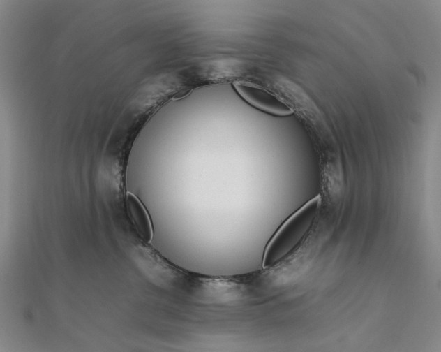 X0000111850380200908061319