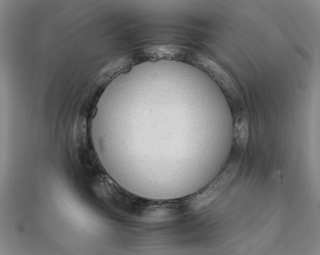 X0000111850381200908061319