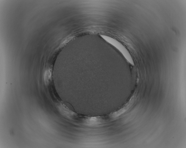 X0000111850382200908061319