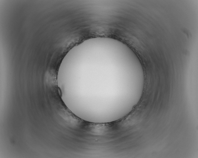 X0000111850384200908061319