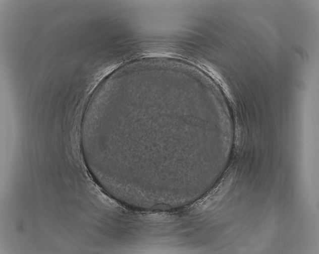 X0000111850385200908061319