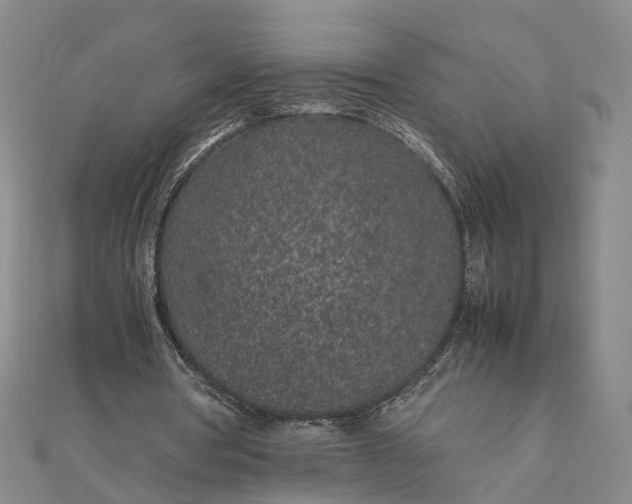 X0000111850386200908061319