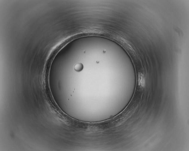 X0000111850388200908061319