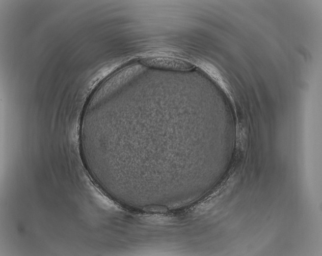 X0000111850389200908061319